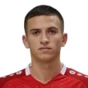 M. Ștefan
